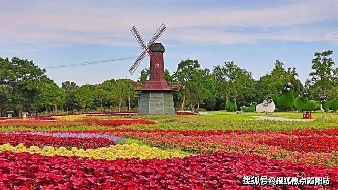 华发观澜半岛售楼处电话售楼中心电话观澜半岛楼盘凯发国际百科首页网站华发处中心楼盘百科首页网站24小时热线(图25)