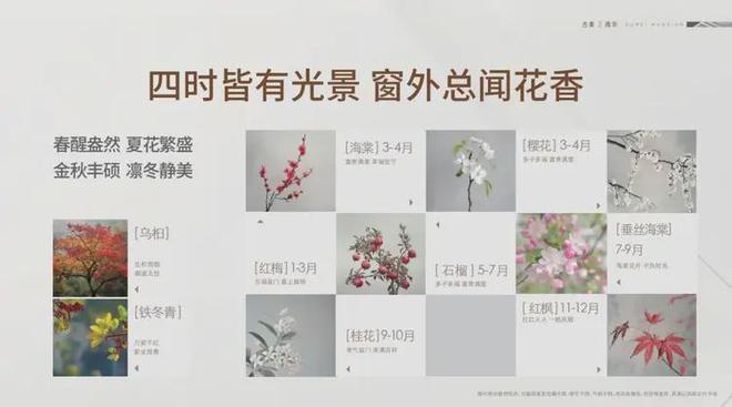 凯发国际首页古美阅华（2025网站最新发布）古美阅华内幕大揭秘(图12)
