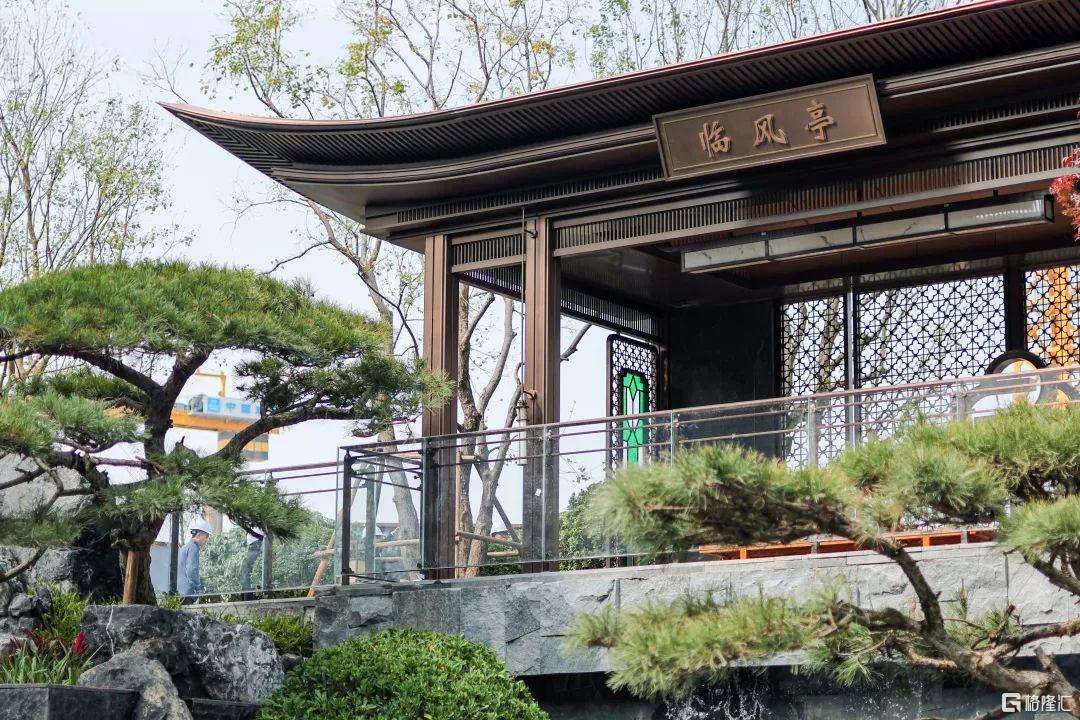 央行重磅宣布楼市凯发国际首页沸腾！超强黑马直接“封神”(图8)