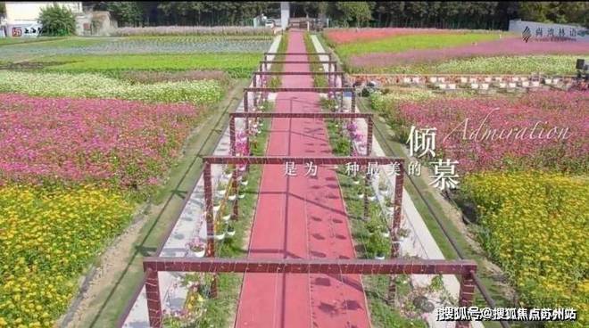 今日热点——尚湾林语售楼处发布：凯发国际首页开启高品质生活(图7)