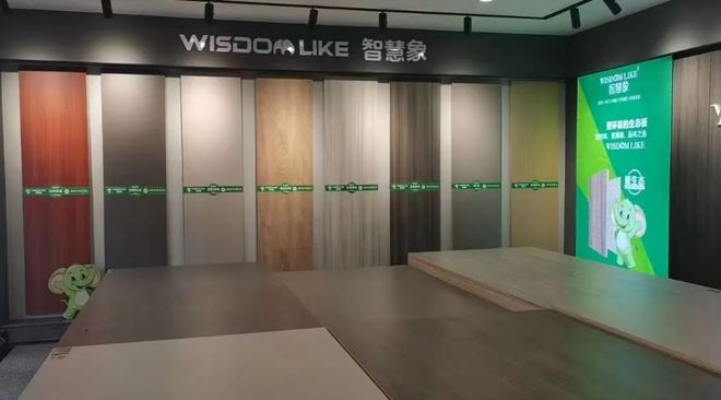 智慧象板材是几线品牌？智慧象板材品牌靠谱吗？凯发国际(图4)