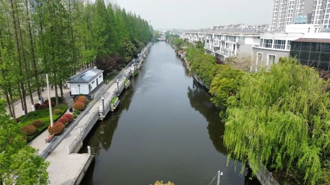 搭把手｜隐患解除！消失的护栏已修复(图2)