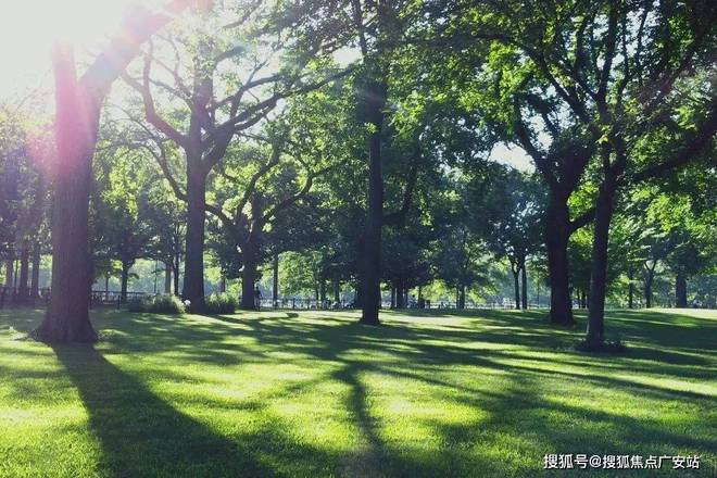 凯发国际首页大华·公园柏翠(售楼处网站)大华·公园柏翠售楼处(图17)