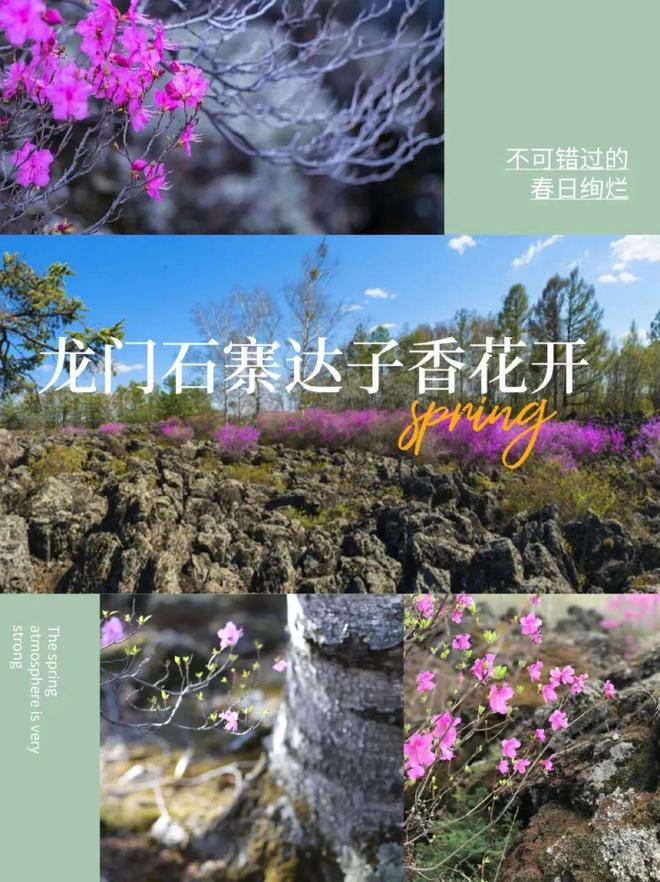 五一必冲!五大连池福利来啦(图1)