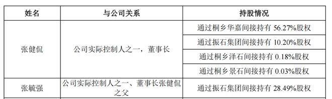 中国巨石护航振石股份IPO张毓强父子拿走11亿分红(图3)