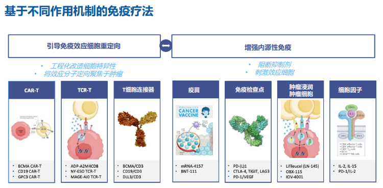 K8国际入口控股下一代IO明星资产云顶新耀一石三鸟(图5)